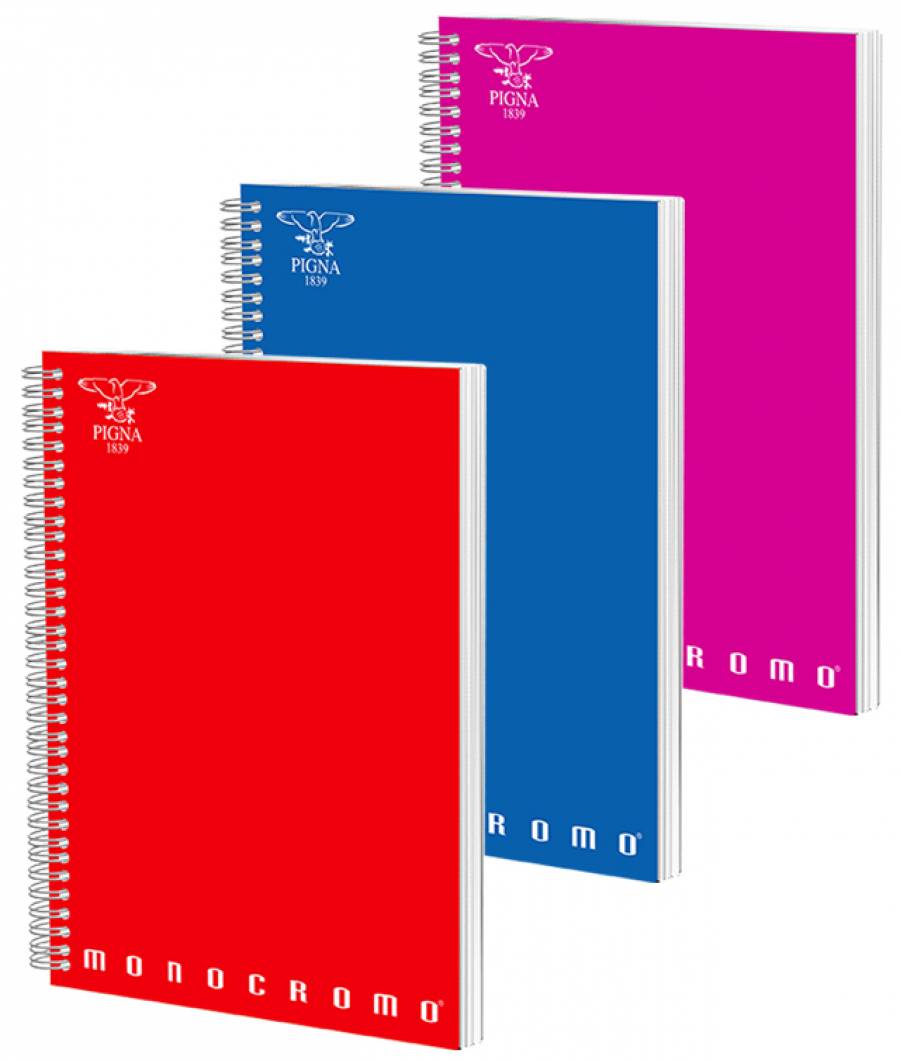 Caiet spira A4 100file  matematica  MONOCROMO